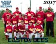 Easton Bees 9 with Coaches
